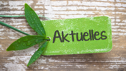 Aktuelles